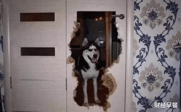 『』油价跌成负数想大赚一笔？醒醒！你要庆幸逃过了破产啊