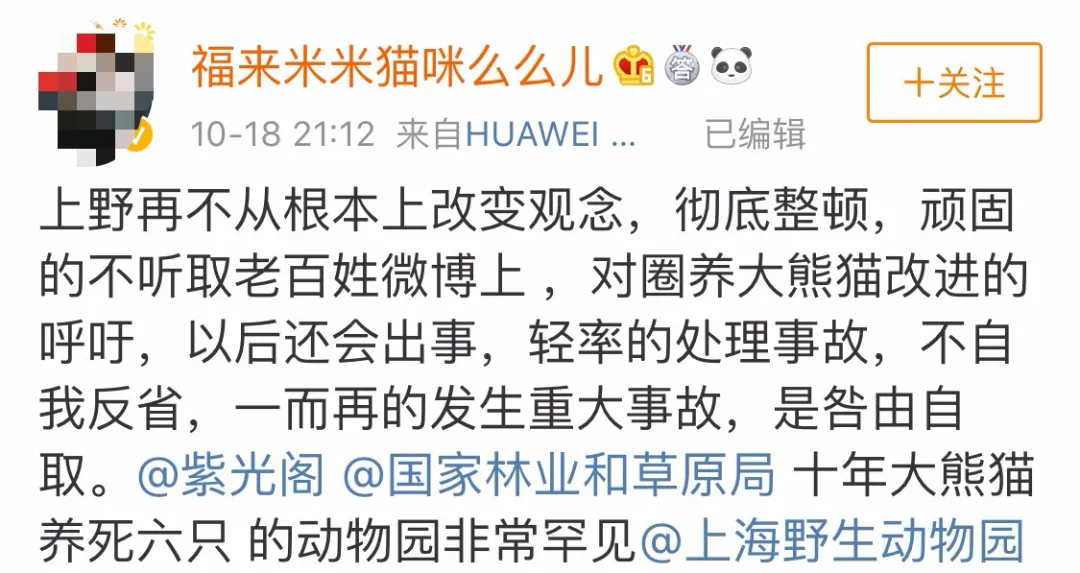 黄河|上海动物园熊群将人活活咬死，现场视频曝光：谁的错？