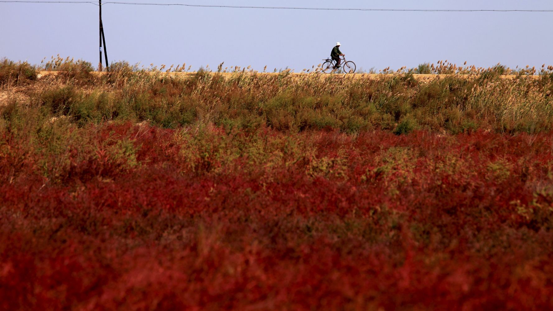 退休▲中国最适合养老的5个城市，宁静怡人，花销不多，退休后就搬过去