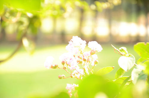 拥抱▲3月底，惺惺相惜，心灵相依，3星座即将拥抱爱情，一生温馨浪漫