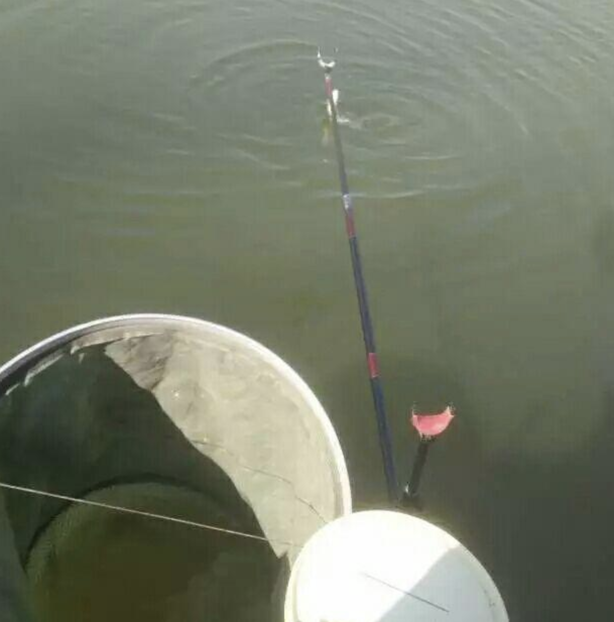 |提醒:越来越多人不用“打窝”来钓鱼了,只用这小物,天天爆护没难度