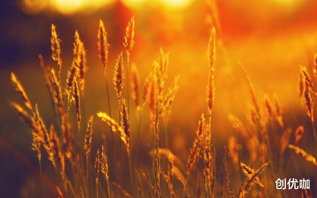 运势|10月，苦尽甘来，运势顶呱呱，将好事成双，福禄双收的3个星座