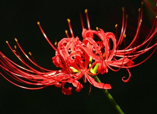 【霉运】7月，4属相收获满满，好运连连，生活越来越好