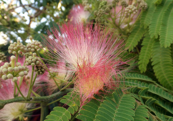 「巨蟹座」未来30天，4属相喜事降临，事业发展顺风顺水，生活其乐融融