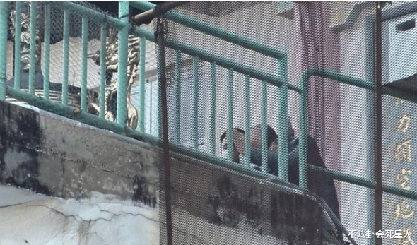 李嘉诚 92岁李嘉诚祭拜亡妻显吃力，难行跪拜礼，长孙女地位超过李泽楷