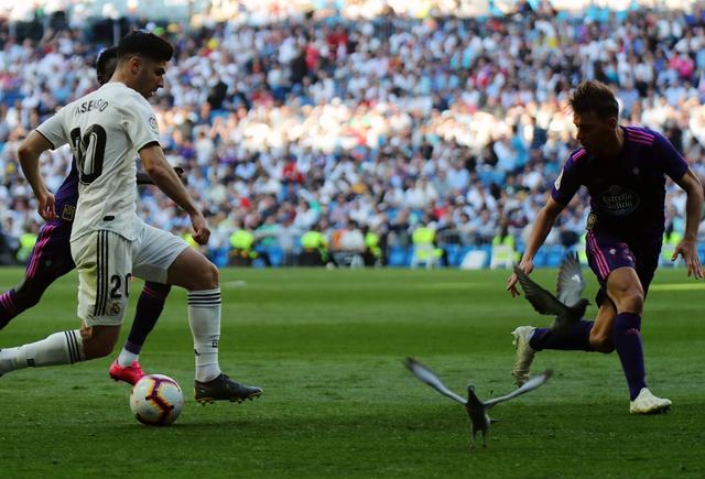 [马德里竞技]今日足球赛事解析：尤文今晚可能大爆冷，马德里竞技能否穿盘