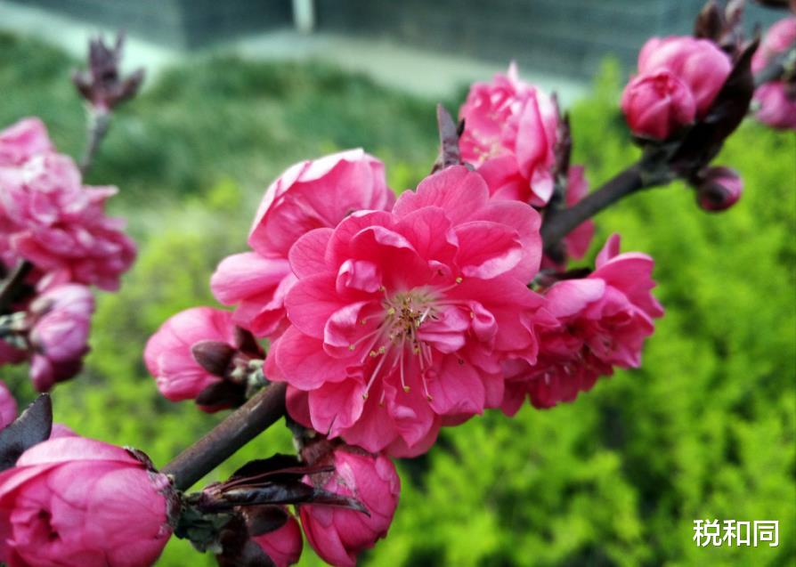 生肖▲天降横财，3生肖“金银”铺路，未来3个月，财运顺遂，生活幸福