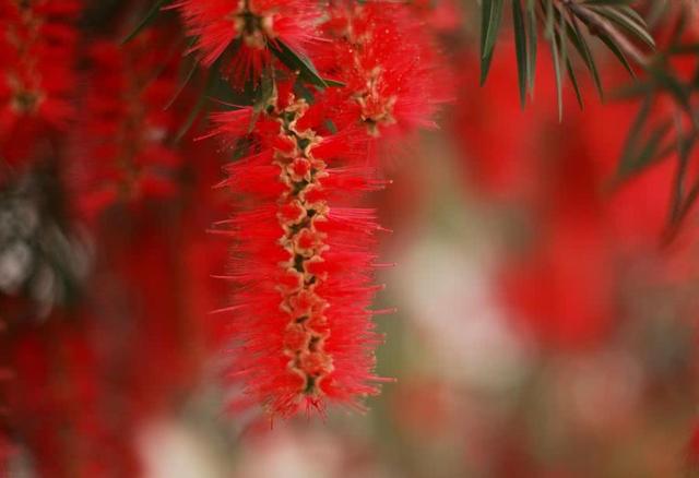 [生肖]下周起，喜事出现，财运爆发的3个生肖