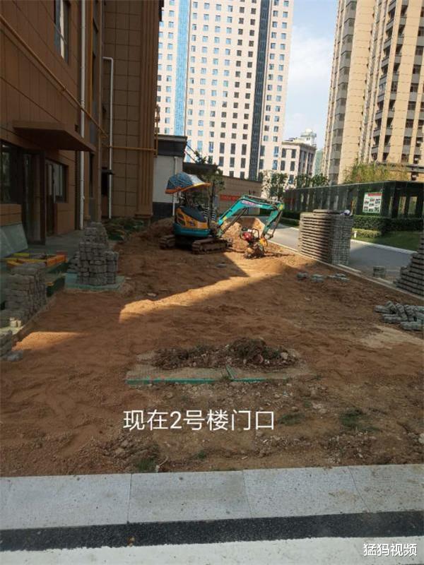 『信阳』信阳一小区刚交房不到半年草坪变砖地 业主们把砖掀了