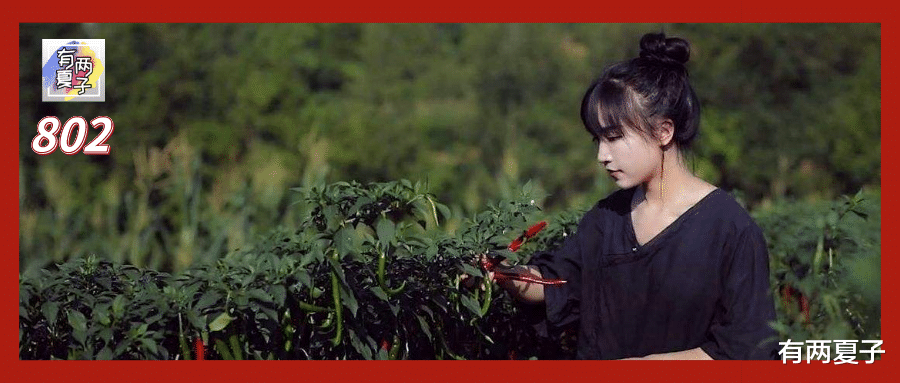 「南极」中国人种菜的征途是星辰大海，给我一块地，还你一个菜园