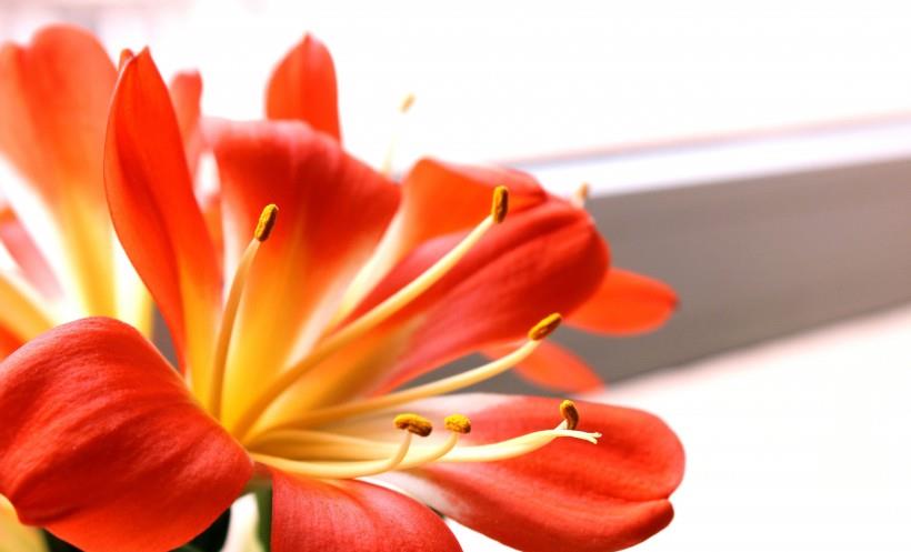 天蝎座|11月初天降良缘，爱情恒古不变，这4大星座能与命定良人携手相伴