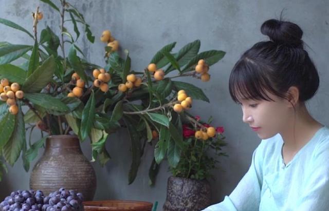 李子柒|从电视剧到主题曲，现在连李子柒也要被越南抄袭