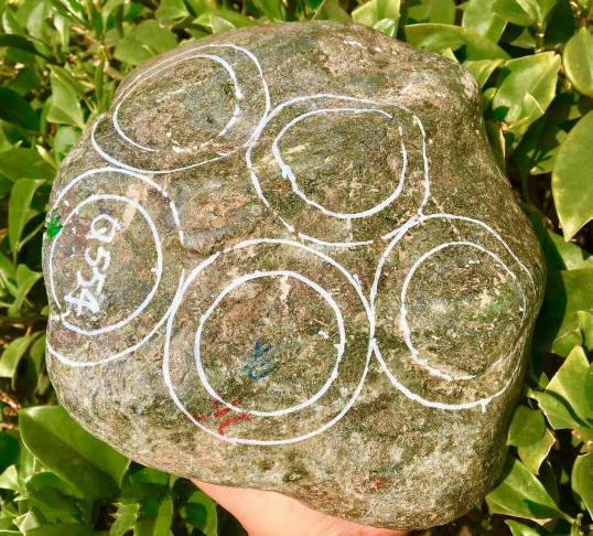 『翡翠』谁都看不上的翡翠赌料，大叔偏不信邪当场拿下，切开后众人呆住了