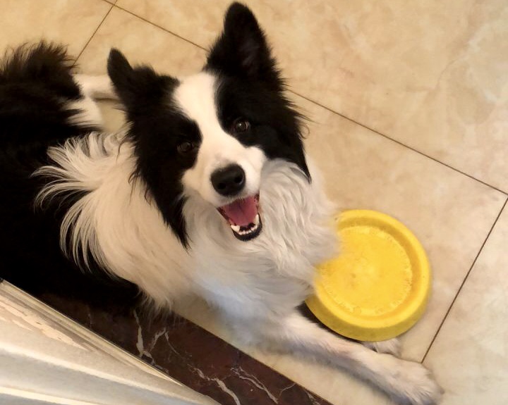 阿里巴巴|准备入手智能锁？看完这份惠氏X68的产品测评再决定吧