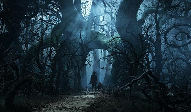 『科学家』诈尸是真的?尸体在17个月后动了!科学家找到科学依据