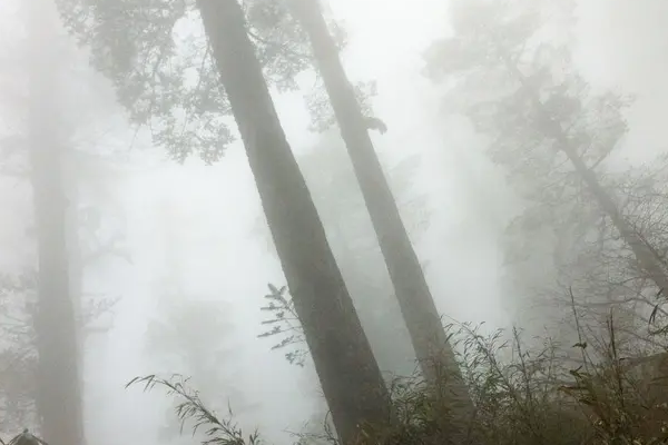 ##“黄泉路”原来真实存在！已被封锁禁止进入，专家至今也无法解释