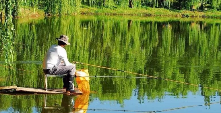 ：钓鱼技巧：春季钓鱼，为什么天越晴越难钓？答案在这里——盛世三渔