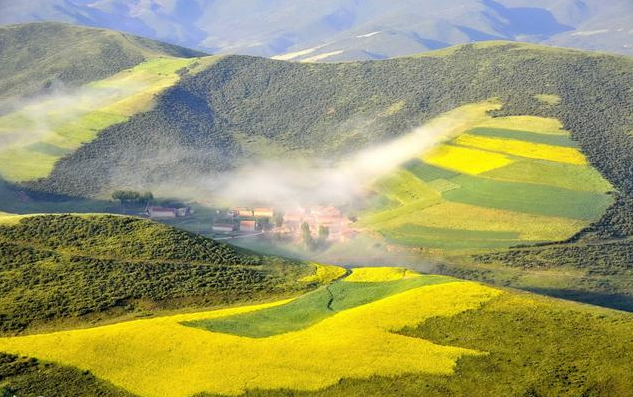 【刮目相看】21号事业飞黄腾达，横财不断，财神爷也刮目相看，让人羡慕3生肖