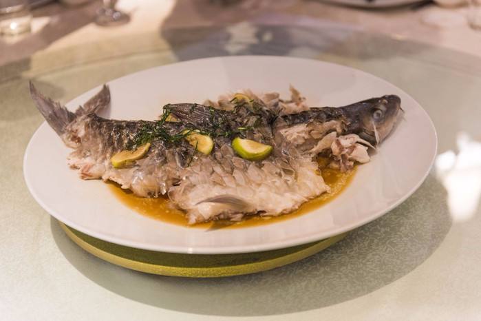 |世界“最贵”的淡水鱼，一口肉约600元，吃货：贫穷限制了想象