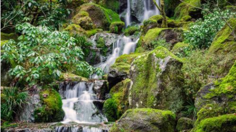 #生肖#结婚时间越长反而越旺夫，善良淳朴，属于贤良淑德的四大生肖女