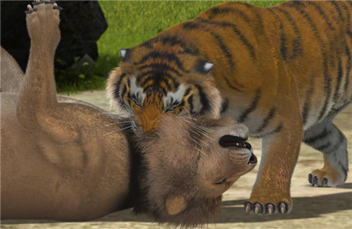 老虎@为何老虎被称为百兽之王?把它的毛给剃光后,就知道真相了