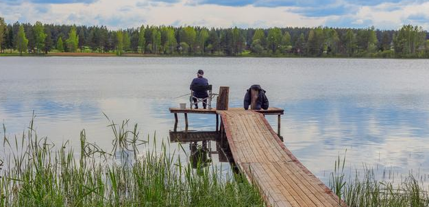 []钓鱼记住这三条，不会空军不白跑