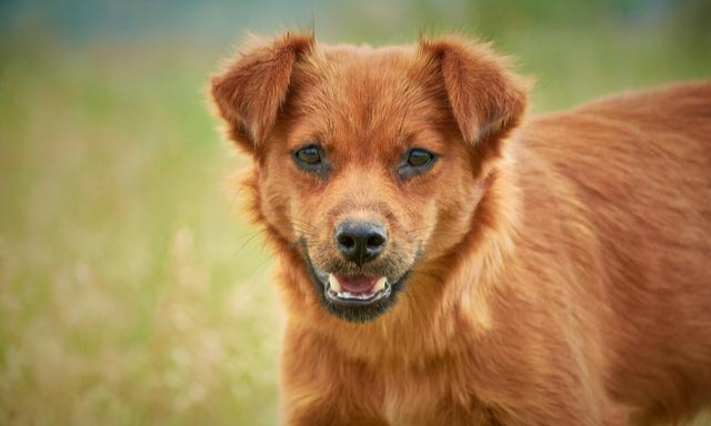冰雹|又有钓鱼人意外身亡！野外钓鱼，高风险注意事项汇总，请牢记！