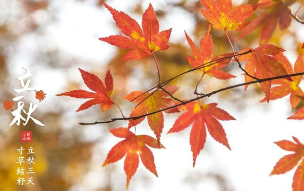 上市公司|军工持续走强!只涨不跌的7只龙头股(名单)最强8连板