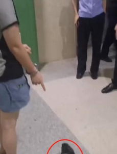 表情包：干女儿欠数百万巨债，疑投毒毒死干妈，干爹仍在抢救！