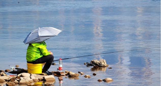 丹江口水库|夏钓鲫鱼，在什么环境下更加适宜作钓？