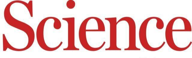 『染色体』7000年前的基因危机:人口锐减,所有男性互相攻击,只留自己后代