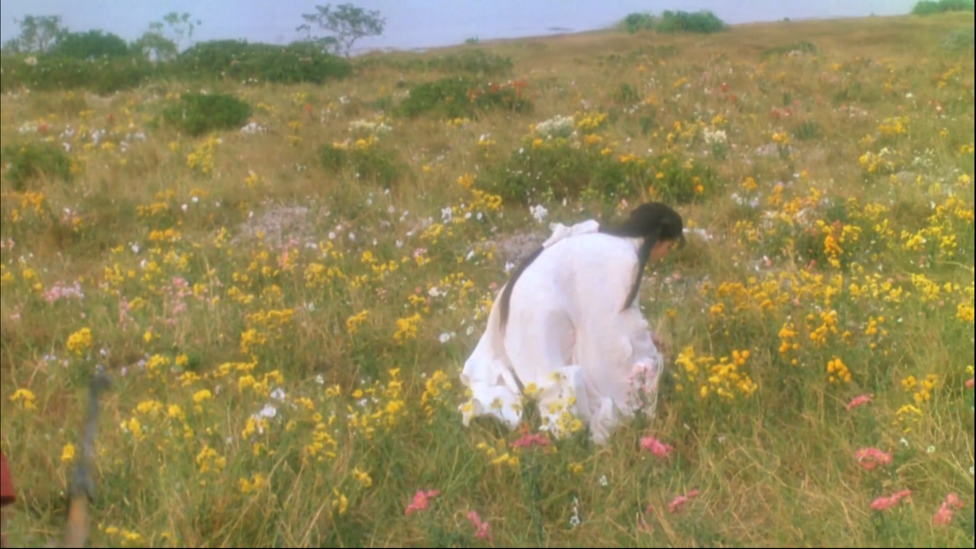 阿飞■1992年，刘德华自掏腰包拍《战神传说》连出昏招，香港票房1240万