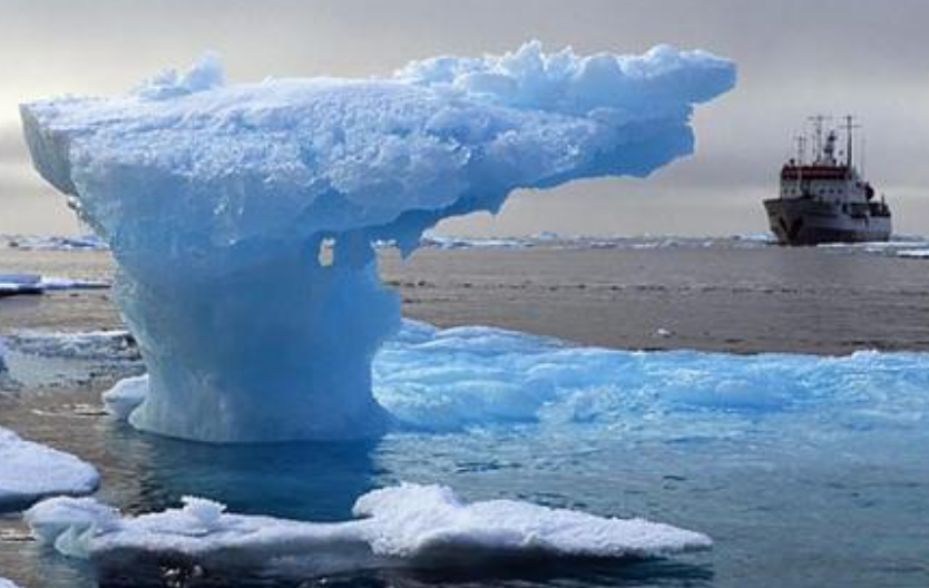 科学家|新冠病毒算什么！南北极冰川融化，或释放地球远古病毒！