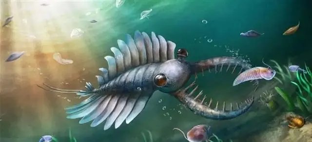 恐龙|人类起源又有新说法了？3亿年前它们爬上岸后，最后造就了我们