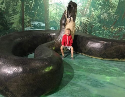 科学家|史前巨蟒被科学家复制到了博物馆里，人们看到后惊道：幸好它早已灭绝