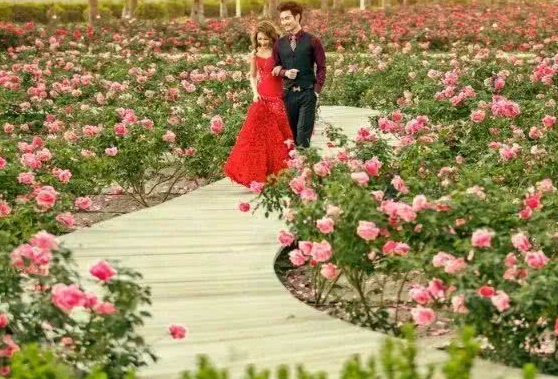 旧爱|本月底，翻身行运，财运大开，逃不掉好日子的四生肖