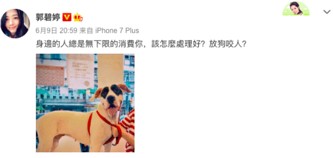 郭碧婷|向佐删除“新成员”照片,郭碧婷清空与向佐的微博,被骗婚了?