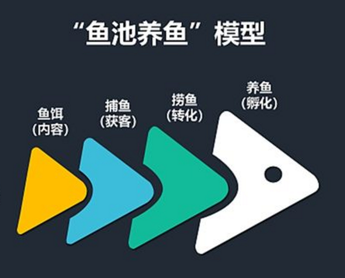 在池塘养鱼，我们该如何去做，才能保证鱼塘内的鱼生活健康？