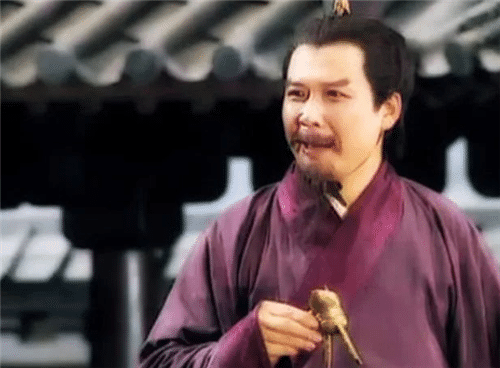 考古|刘备想让诸葛亮继位？将他4个儿子名字连起来念，你就明白了