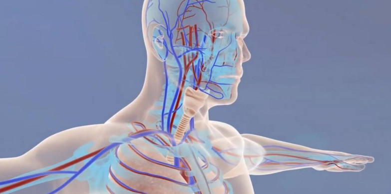 【免疫系统】人类的体温已经不再是37度!这非常的可怕!