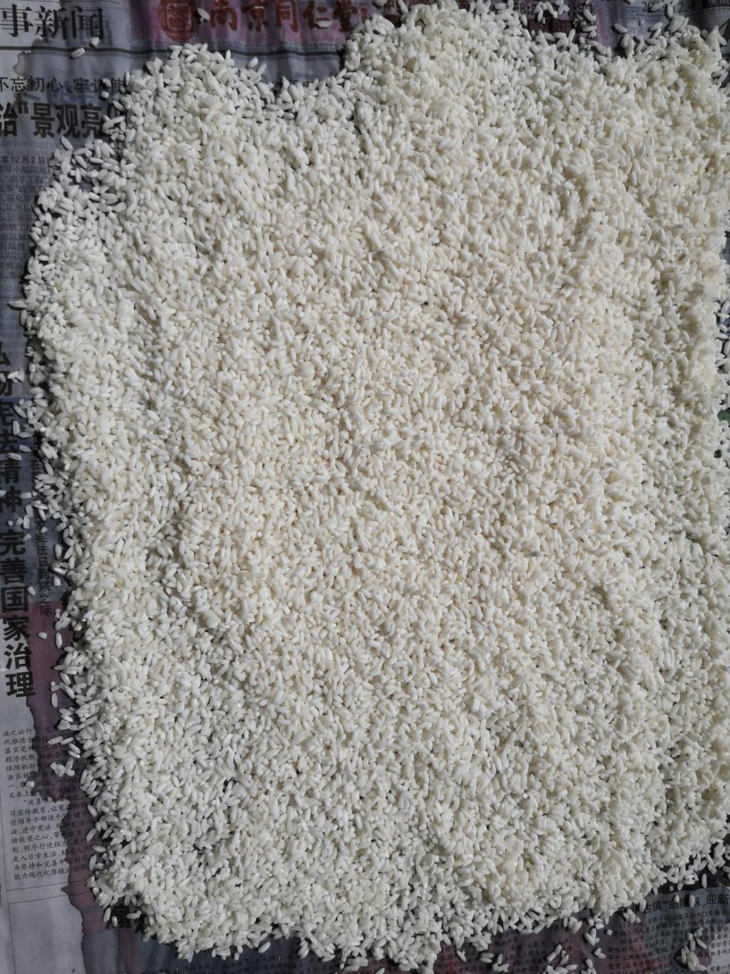 |秘制秋季酒米窝料,低廉好用,学会再也不用靠买了