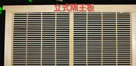 『』我的中蜂隔板外有很多蜂，也不造脾，也不产王台，只有少量雄蜂，请问正不正常？