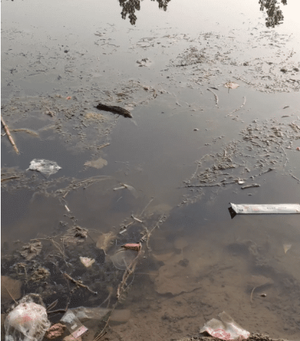 |“黑色衣服的女孩头为什么这么大?”哈哈哈哈哈哈哈注意力在哪儿?