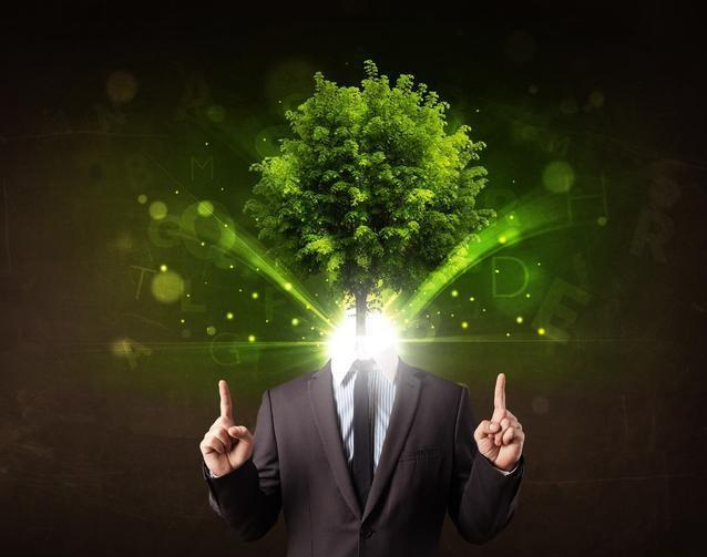 |中国股市状况：未来3年至5年能翻10倍或100倍的股票在哪些行业？