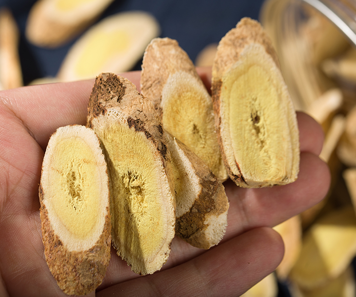 黄芪▲外行吃人参、内行吃黄芪,连吃一个月,3件好事不请自来