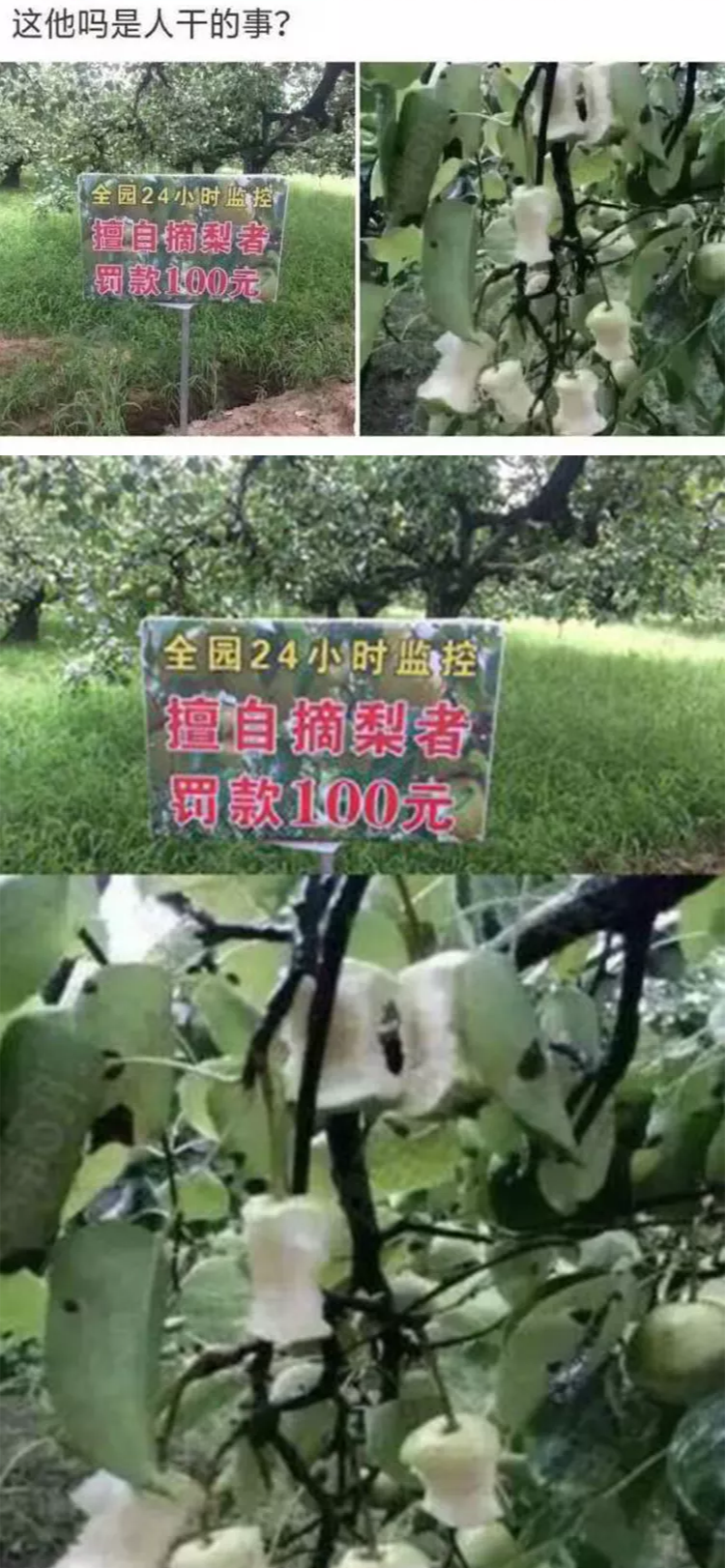 染发|“听说用紫药水染发效果好，结果...”哈哈哈真信了他的邪！