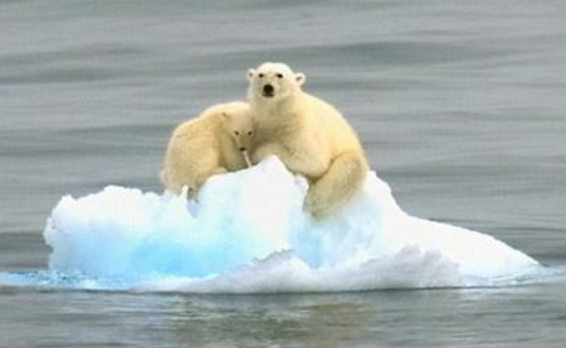 科学家@全球气候发生巨变，地球末日不远了？科学家：一切都来得太快！