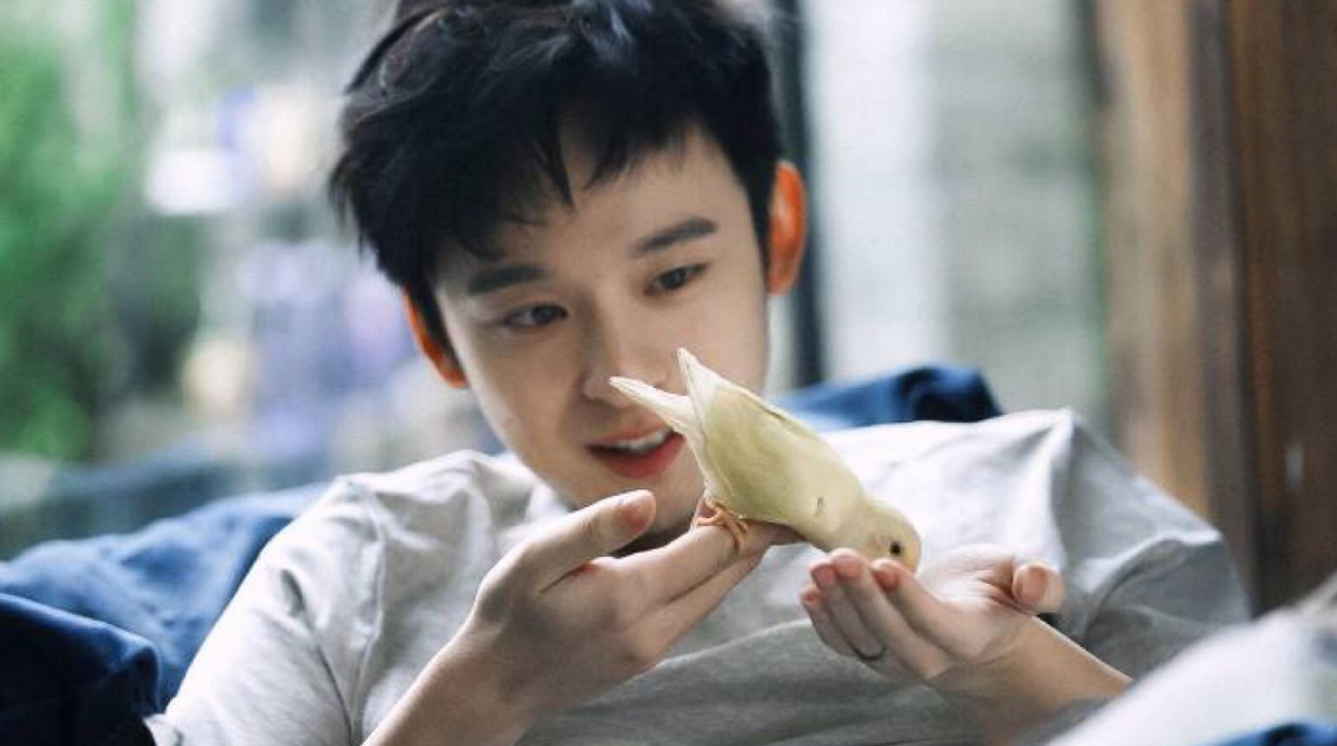 宋丹丹|陈红儿子凉凉，宋丹丹儿子凉凉，唯独她儿子红成巨星
