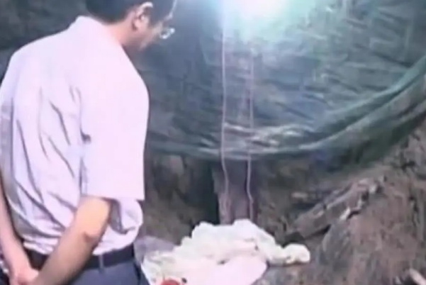 「古墓」湖北发掘千年古墓，考古队赶到却吓一跳，墓中竟挖出了活乌龟？