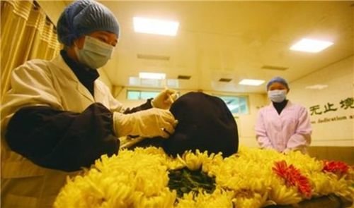 入殓师|每天和尸体一起的女入殓师，亲戚都恐避不及，她们最后都嫁给了谁？